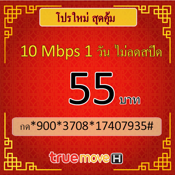สมัครเน็ตทรู รายวัน 55 บาท 10mbps